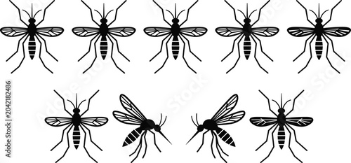 Canvas-taulu Mosquito silhouettes collection featuring top view and side profile insect graph