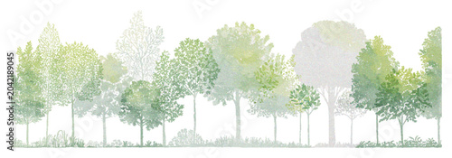 Tableau sur toile Architectural CAD Tree Line Drawing Set with Minimal Side View Forest Section Sy