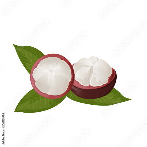 Mangosteen With Leaves Exotic Tropical Fruit Fresh Collection