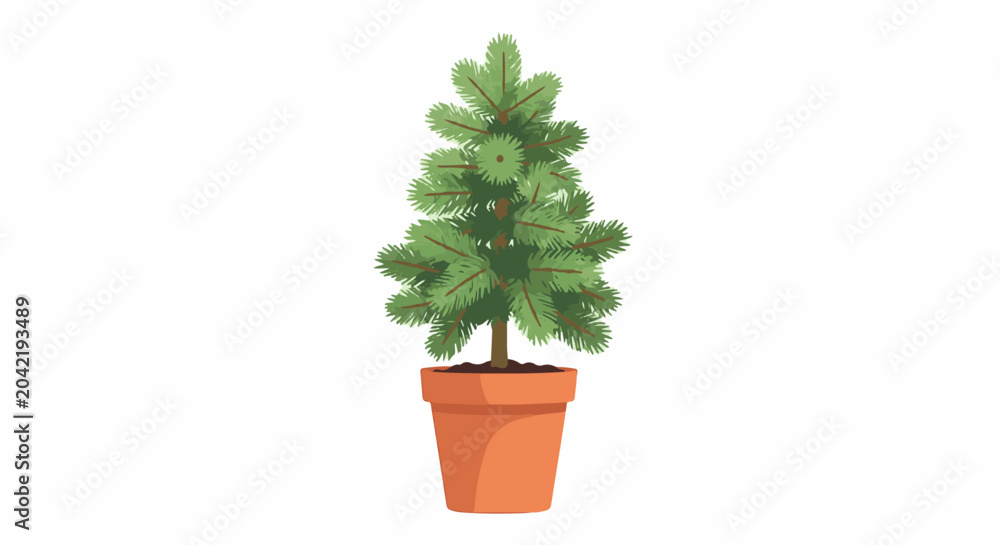Obraz premium Small evergreen tree in a terracotta pot