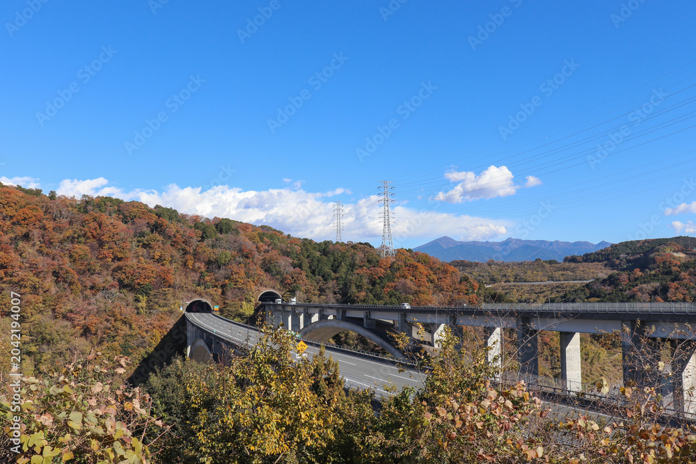 Fototapeta premium 旧富士川町付近の新東名高速道路（静岡県富士市）