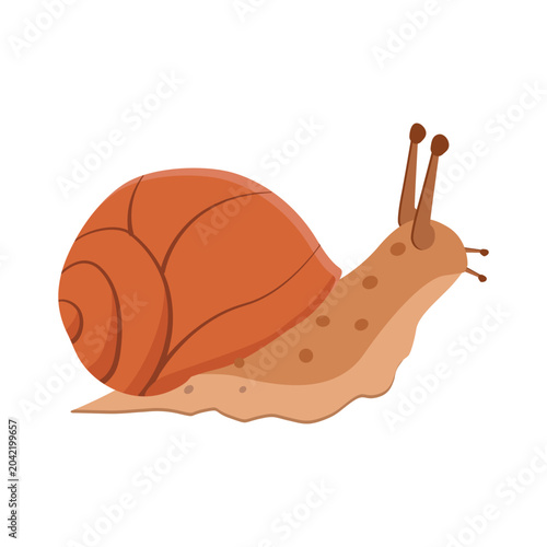 Illustration of a Snail