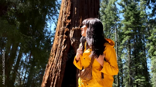 Happy smiling tourist wearing a yellow jacket exploring the majestic forest of sequoia national park, amazed by the ancient giant trees during a sunny day of vacation in california