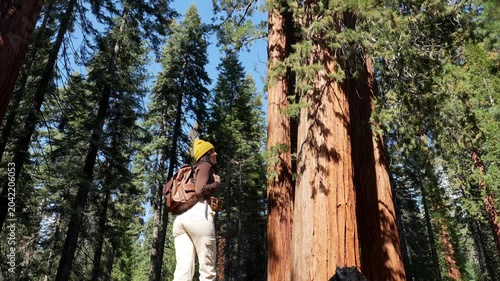 Smiling young woman with a backpack hiking through a forest of giant sequoias, looking up in awe at the massive ancient trees during a sunny day trip in sequoia national park, california