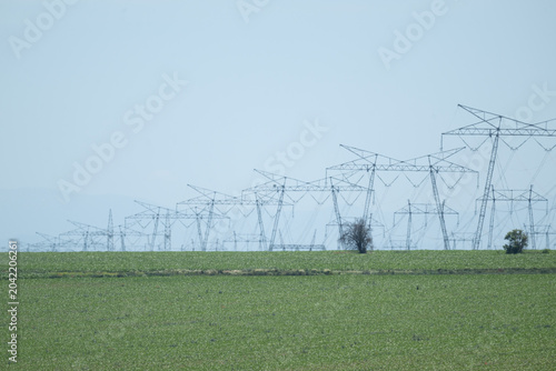 A vast landscape featuring numerous electricity pylons marching across a verdant agricultural field with a few scattered trees