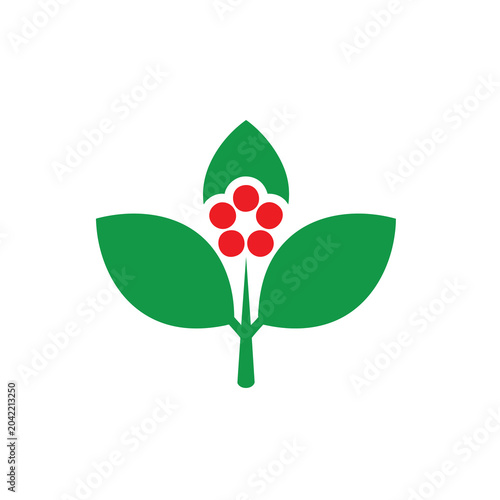 Minimalist green leaf and red berry logo design element.