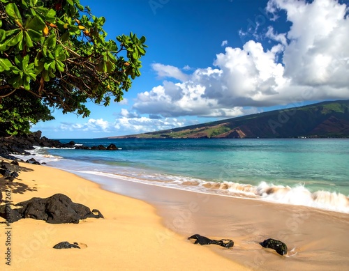 Tropical beach with palm trees and turquoise water.