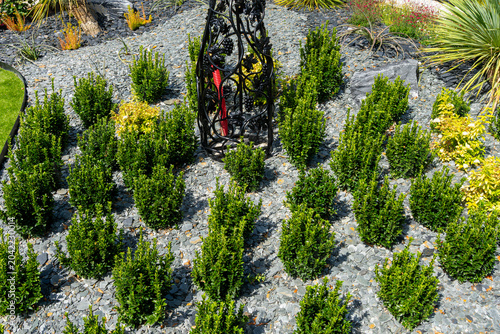 Foto Grand jardin fleuri composé d’arbustes, de pelouses et de roses aux multiples variétés et couleurs vives créant un paysage naturel riche, harmonieux et printanier