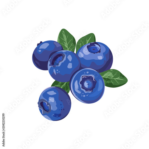 Vector illustration of a blueberry berry on a white background. This template can be used for food, cosmetics, or postcards.