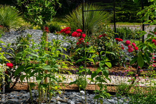 Obraz na plátne Grand jardin fleuri composé d’arbustes, de pelouses et de roses aux multiples variétés et couleurs vives créant un paysage naturel riche, harmonieux et printanier