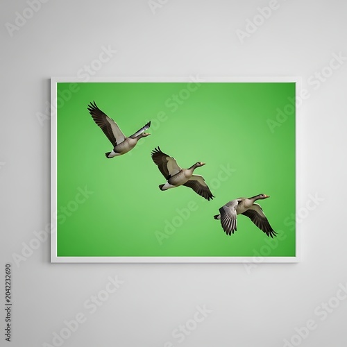 Three geese in flight against a vibrant green background