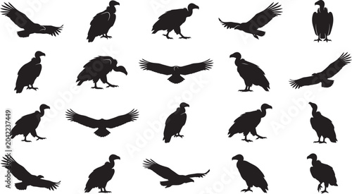 Vulture silhouettes collection diverse poses for graphic design and wildlife illustration