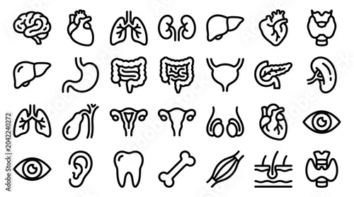 Collection of human internal organ line icons including brain heart lungs stomach and kidneys on white background, symbolizing medical education and illustrating clinical healthcare research
