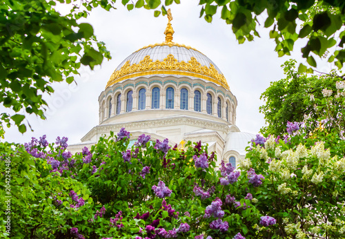 Beautiful lilac flowers in full bloom against the backdrop of the St. Nicholas Naval Cathedral in Kronstadt. Summertime Kronstadt.