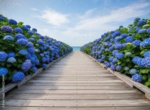 Scenic Pathway Surrounded by Blue Hydrangeas Leading to the Sea