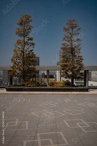 Fotografie Tokyo, Japan - March 28, 2026: Trees and open plaza on rooftop of Ginza Six in T
