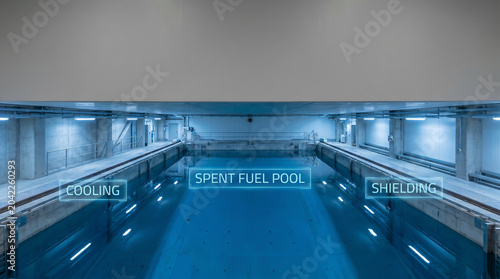 Spent fuel pool at a nuclear power plant facility for radioactive waste storage and cooling