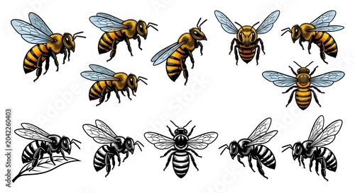 A collection of various honey bees in different flight poses and positions isolated on a white background.