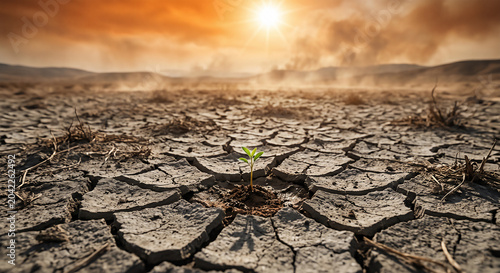Single green seedling emerging from cracked drought-stricken earth under intense sunlight, representing hope, resilience, perseverance, environmental recovery, climate change challenges, and the power