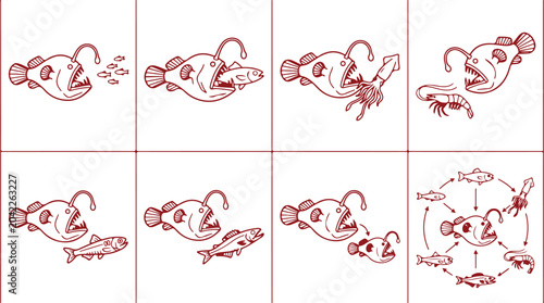 Fotografie Anglerfish feeding behavior illustration series showing predation on smaller fish squid and shrimp in ocean depths