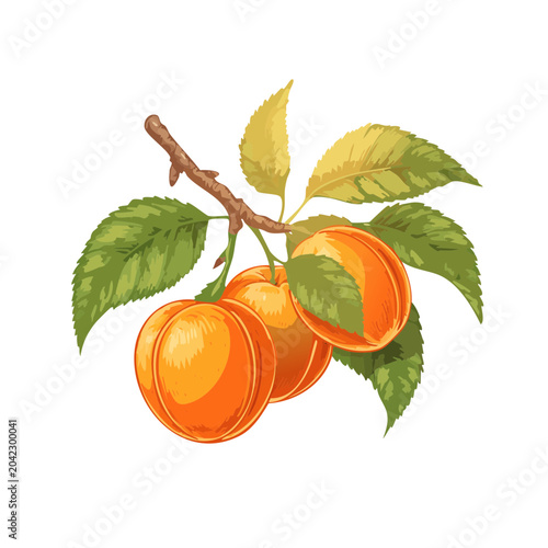 Summer Orchard Detail