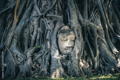Fotografie Discover Ayutthaya World Heritage: Amazing Buddha Head in Tree Roots at Wat Maha