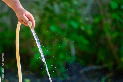 Fotografie Hand watering garden with hose outdoors in lush greenery setting