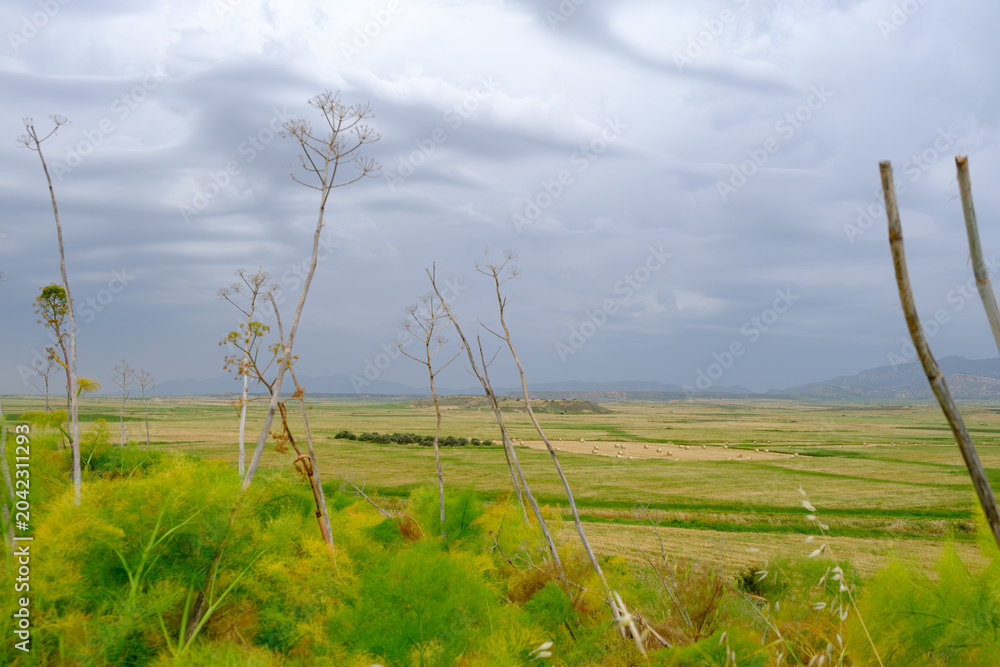 Fototapeta premium Spring Vegetation and Distant Hills of Lapathos