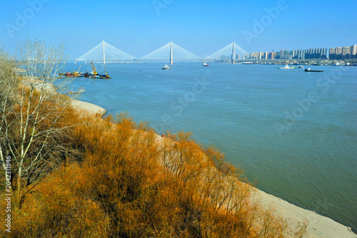 Tableau sur toile Modern Bridges Over Yangtze River Under Clear Blue Sky