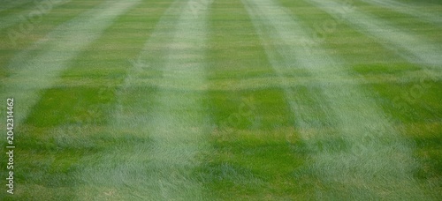 Close up view of lush green grass lawn with striped pattern background.