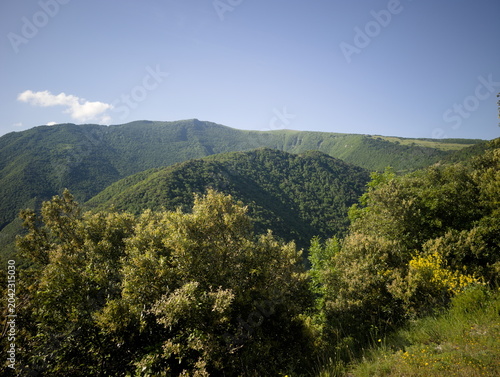 Cuadro en lienzo montagne verdi ricoperte da vegetazione fitta, con pendii ripidi e cielo limpido