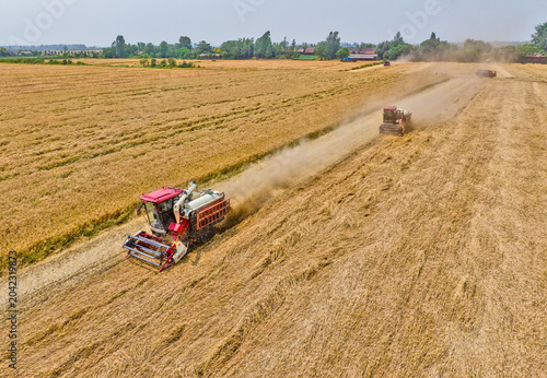 Bild auf Leinwand Combine Harvesters in Golden Wheat Field During Harvest Season