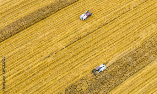 Obraz na płótnie Combine Harvesters in Golden Wheat Fields - Aerial Harvest View