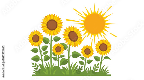 Sunflowers in a sunny garden summer field illustration with sunny day, botanical