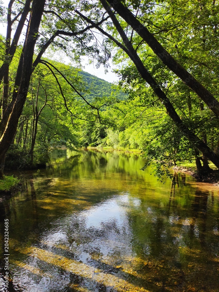 Fototapeta premium Beautiful nature photos. Spring of the River Bosna, Sarajevo