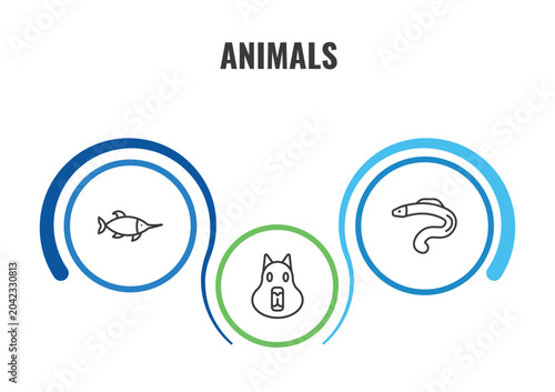 Photography animals outline icon set