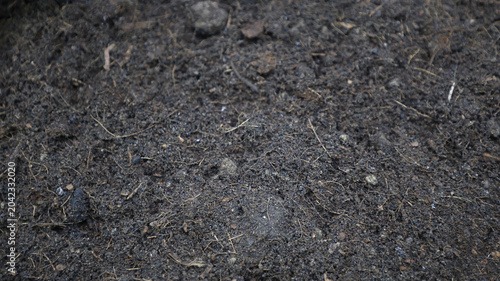 Photos A close up of dark organic soil perfect for agriculture backgrounds