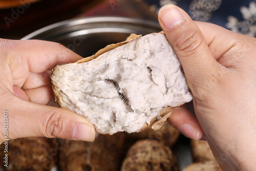 Fényképezés Fresh Taro Root Cross Section - Guangxi Harvest