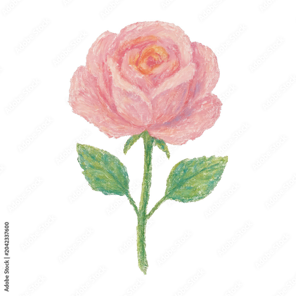 Obraz premium PNG Delicate pastel rose illustration