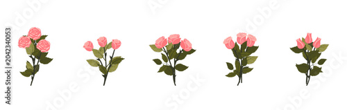 A bouquet of light pink roses. A set of bouquets for your design. Vector illustration on a white background.