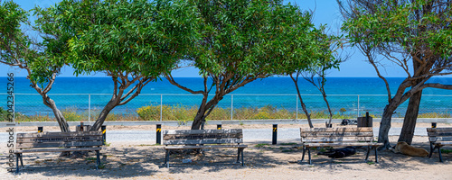 Promenade overlooking the sea at the archaeological park near Salamis in the north of Cyprus. Lined with Pittosporum angustifolium (Willow Pittosporum) trees. Free-roaming dogs lying in the shadow.
