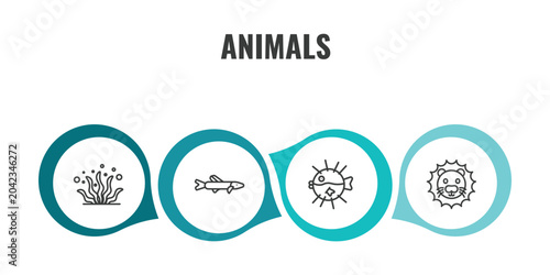 Photography animals outline icon set