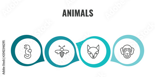 Canvas Print animals outline icon set