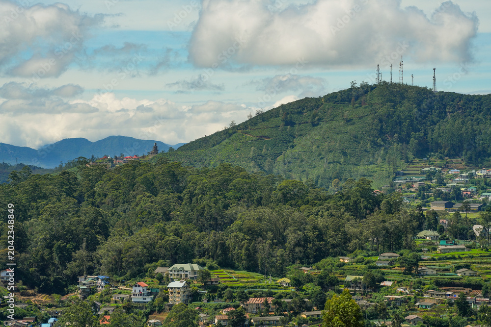 Fototapeta premium Scenic landscape in Nuwara Eliya, Sri Lanka, Asia