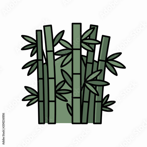 Green Bamboo Stems with Leaves Isolated on White Background