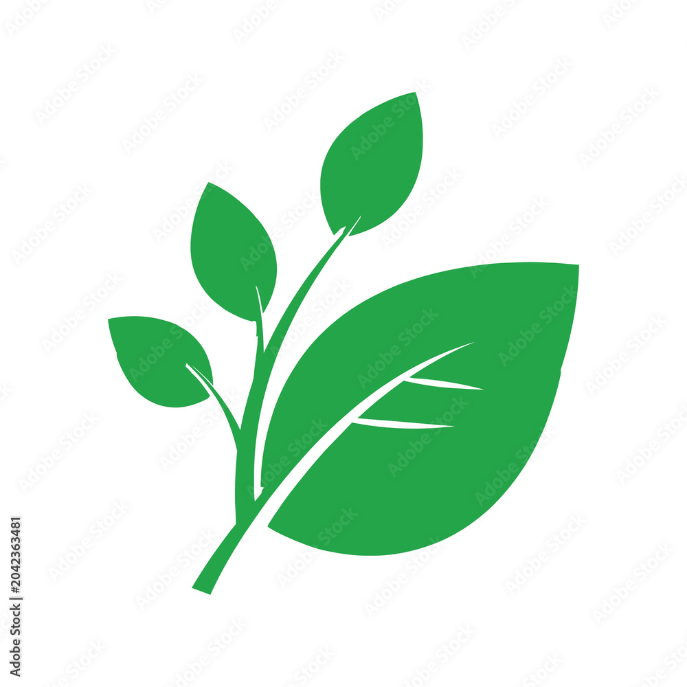 Fototapeta premium Green leafy branch with multiple leaves on transparent background