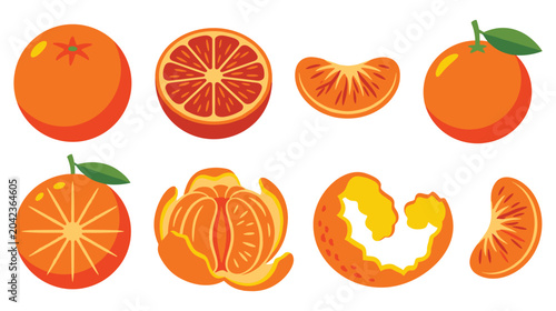 Bild auf Leinwand Fresh orange citrus fruits collection in different styles.