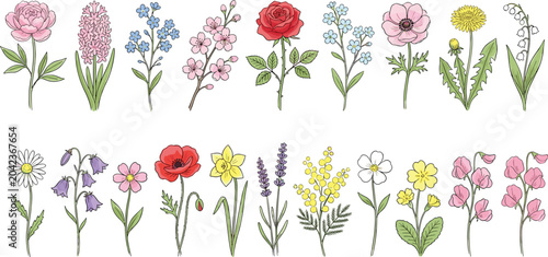 Billede på lærred Hand Drawn Botanical Wildflower Vector Collection with Rose, Poppy, Lavender, Da