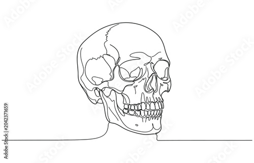 Schilderij op canvas Continuous one line drawing of human skull, Human scull.