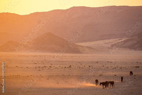Schilderij op canvas A herd of desert horses kicking up dust while trekking along the barren plains a